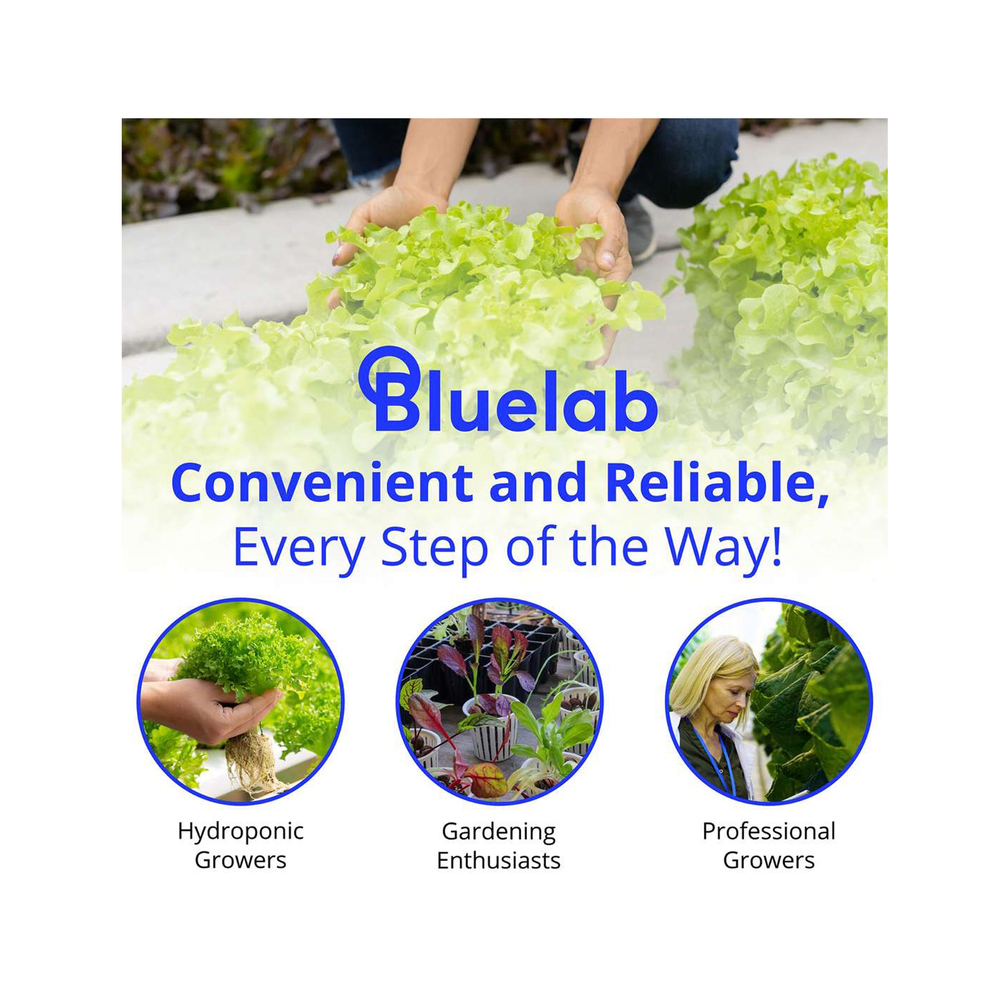 Bluelab Pro Controller Wi-Fi